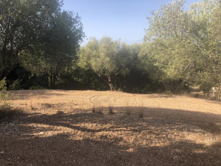 Image No.2-Plot for sale