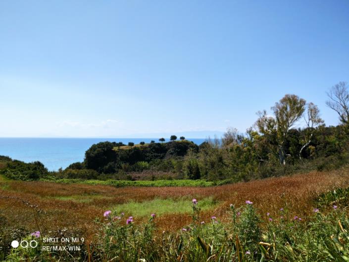 Image No.5-Land for sale