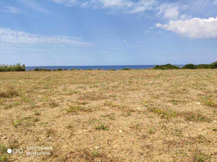 Image No.3-Plot for sale