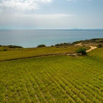 Image No.2-Land for sale