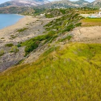 Image No.4-Land for sale