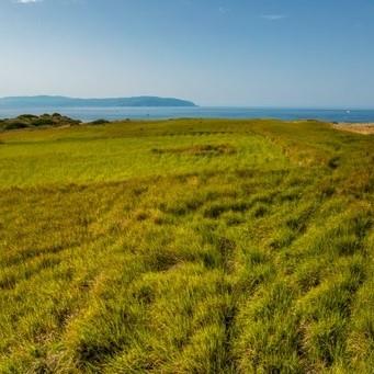 Image No.5-Land for sale