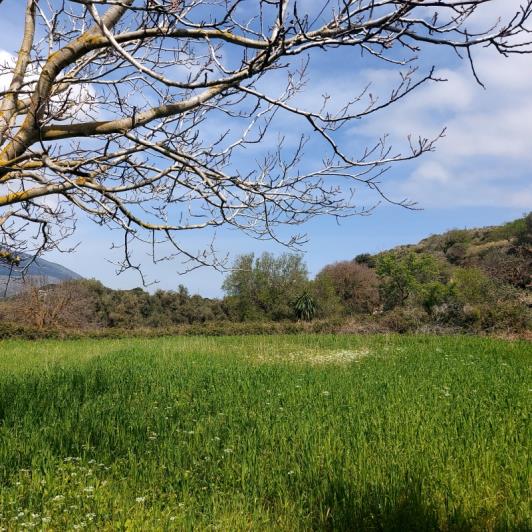 Image No.4-2 Bed House for sale