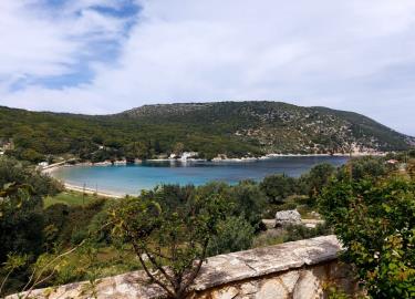 294120_p1h5kv7pq83mf1f11qfu3pt2k68