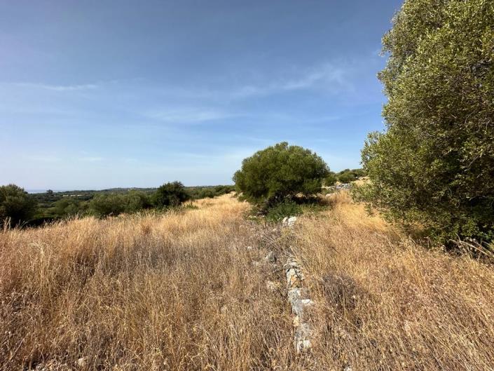 Image No.9-Land for sale