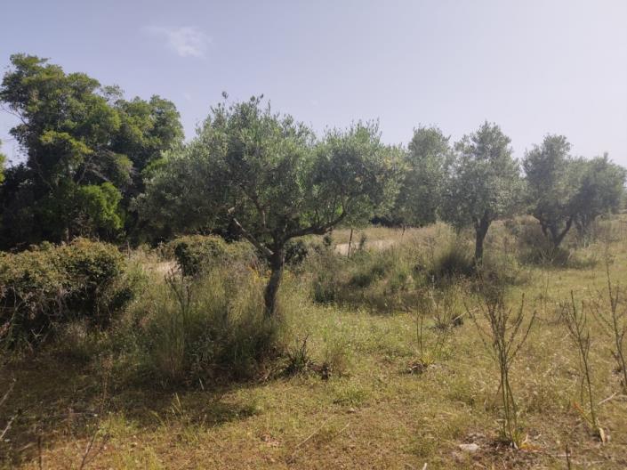 Image No.6-Land for sale