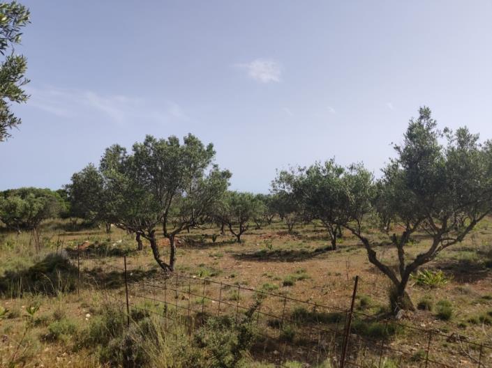 Image No.5-Land for sale