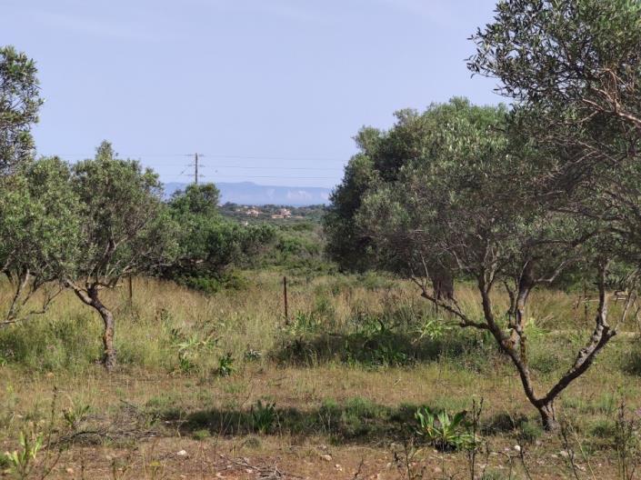 Image No.3-Land for sale