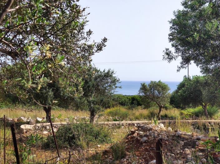 Image No.1-Land for sale