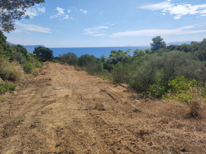 Image No.2-Plot for sale