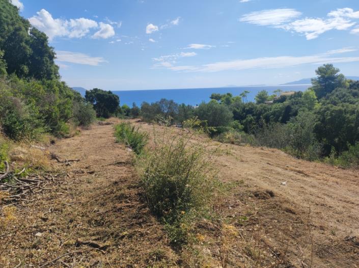 Image No.6-Plot for sale