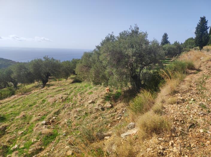 Image No.6-Plot for sale