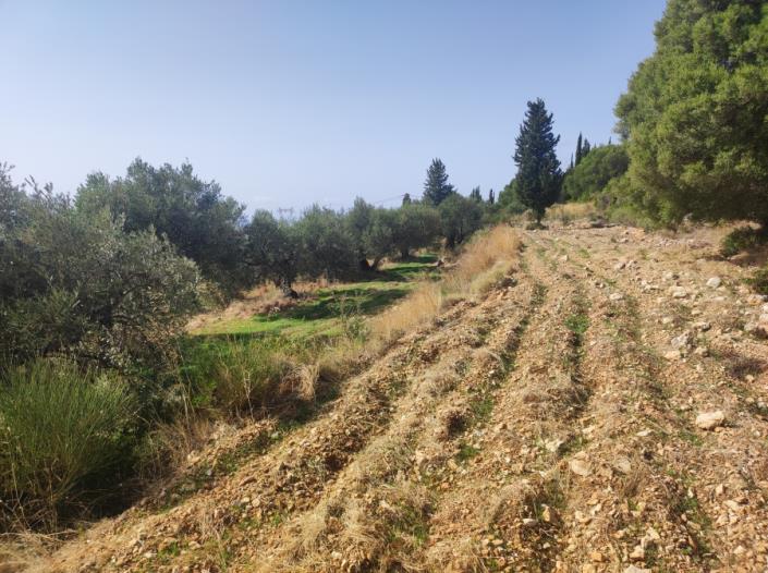 Image No.7-Plot for sale