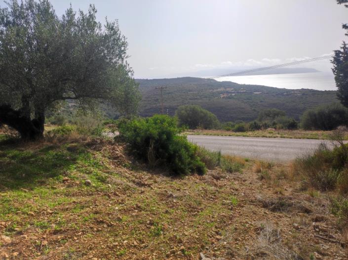 Image No.8-Plot for sale