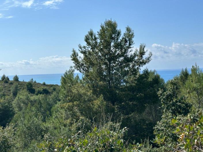 Image No.3-Plot for sale