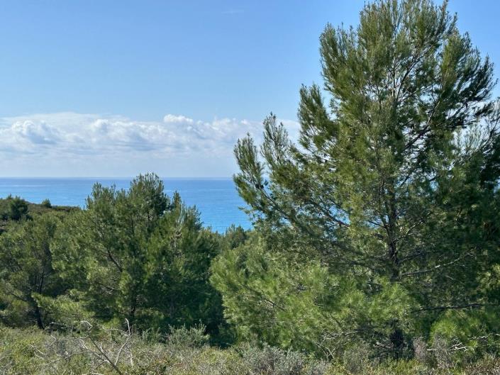 Image No.4-Plot for sale