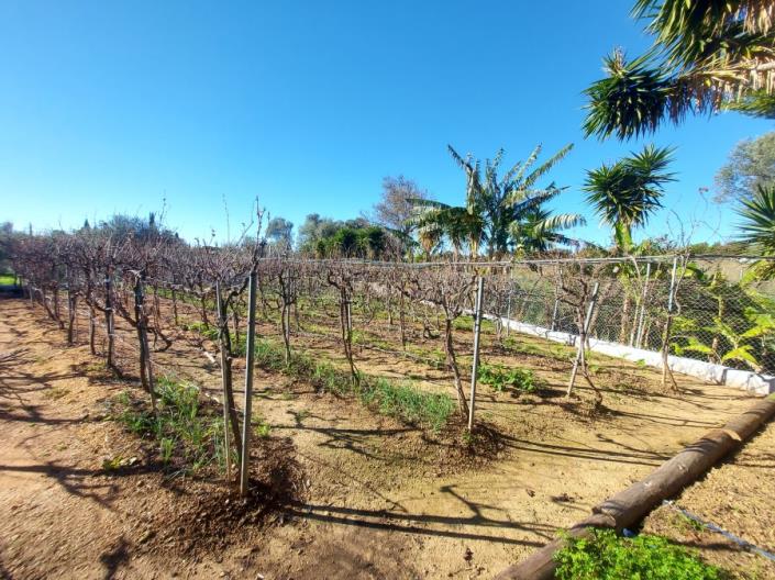 Image No.7-5 Bed Villa / Detached for sale