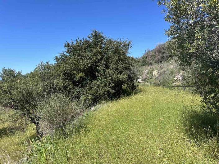 Image No.4-Plot for sale