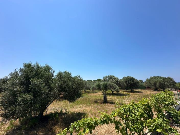 Image No.2-Land for sale