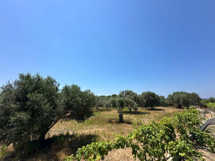 Image No.4-Land for sale