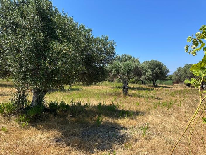 Image No.5-Land for sale