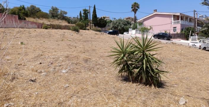 Image No.11-Plot for sale