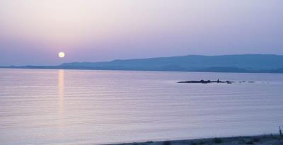 269478_p1gh0tuuhkjj819u3126s1lj01ga94