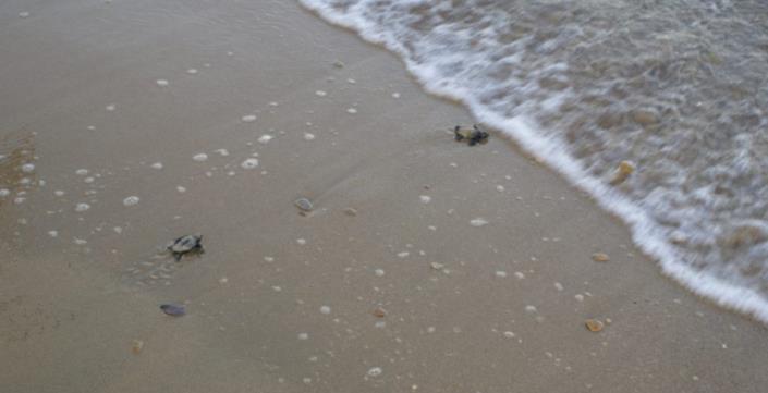 Image No.34-Hotel for sale