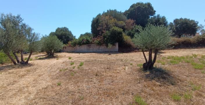 Image No.2-Plot for sale