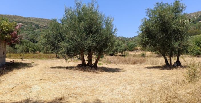 Image No.1-Plot for sale