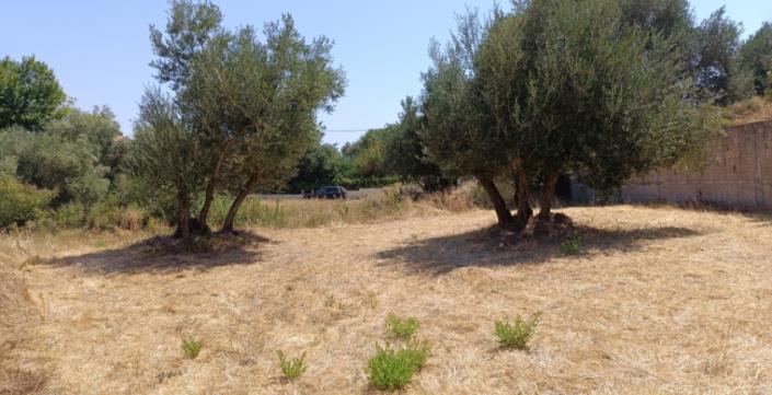 Image No.4-Plot for sale