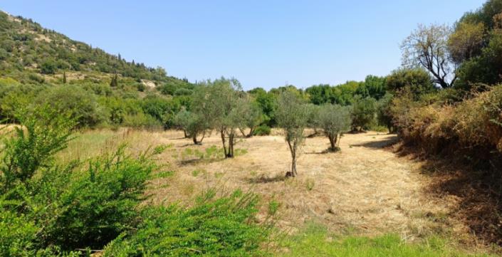 Image No.6-Plot for sale