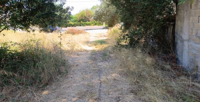 Image No.8-Plot for sale