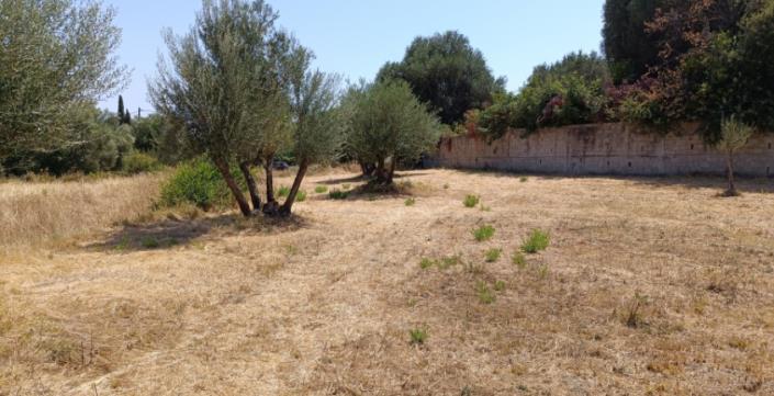 Image No.13-Plot for sale