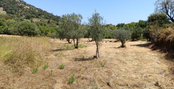 Image No.14-Plot for sale