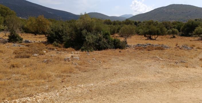 Image No.2-Plot for sale