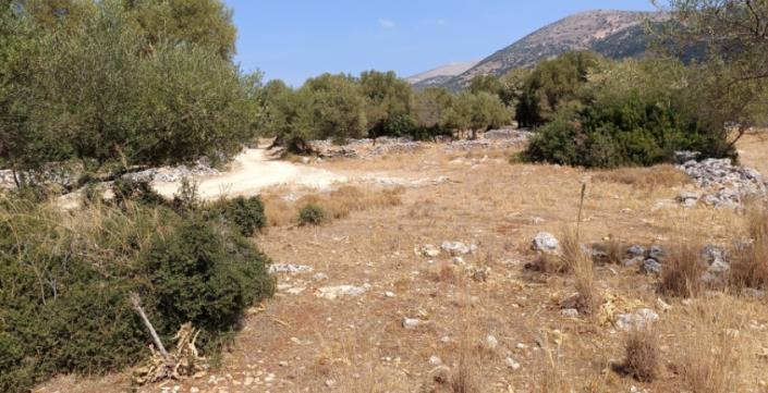 Image No.9-Plot for sale