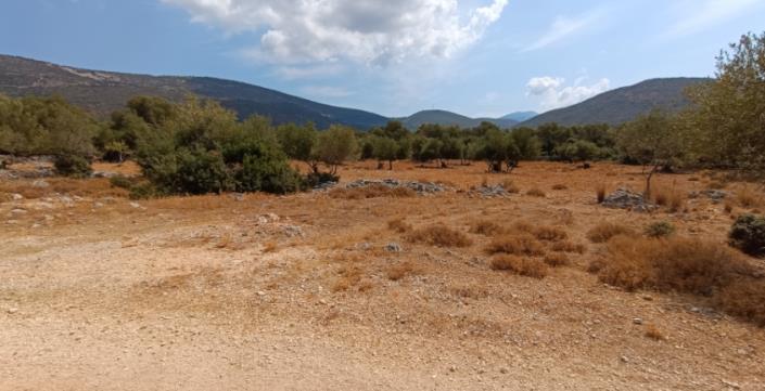 Image No.14-Plot for sale