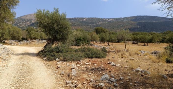 Image No.15-Plot for sale