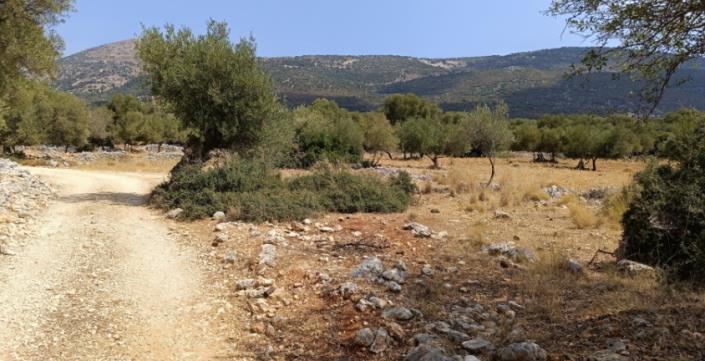 Image No.16-Plot for sale