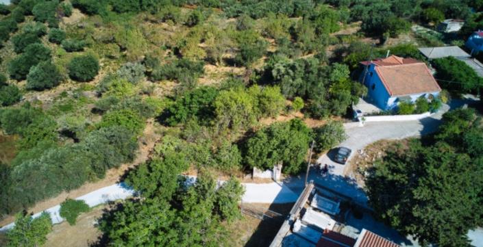 Image No.3-Plot for sale