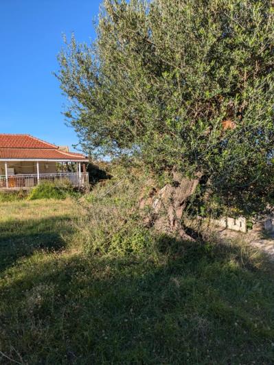 Image No.6-Land for sale