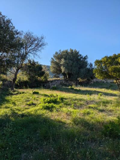 Image No.8-Land for sale