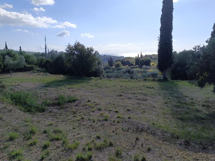 Image No.3-Plot for sale