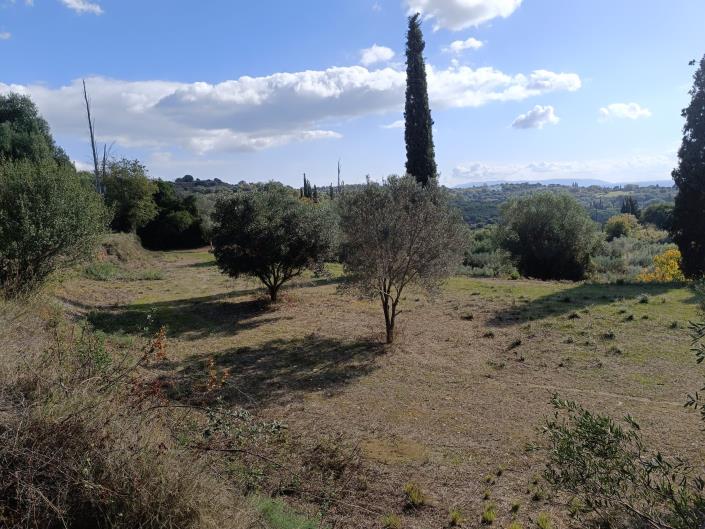 Image No.6-Plot for sale