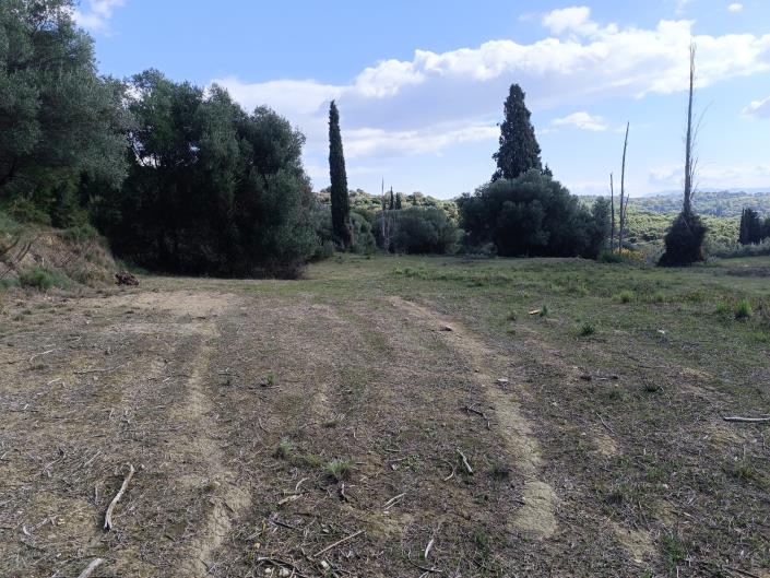 Image No.10-Plot for sale