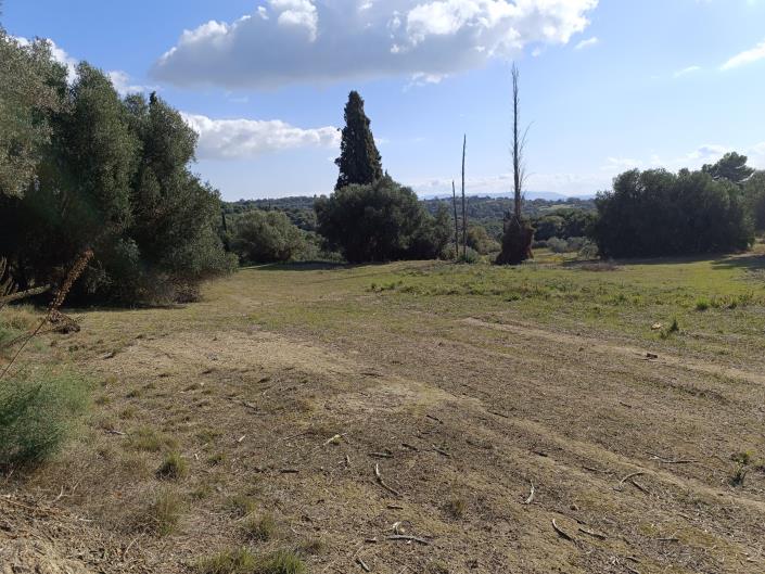 Image No.30-Plot for sale