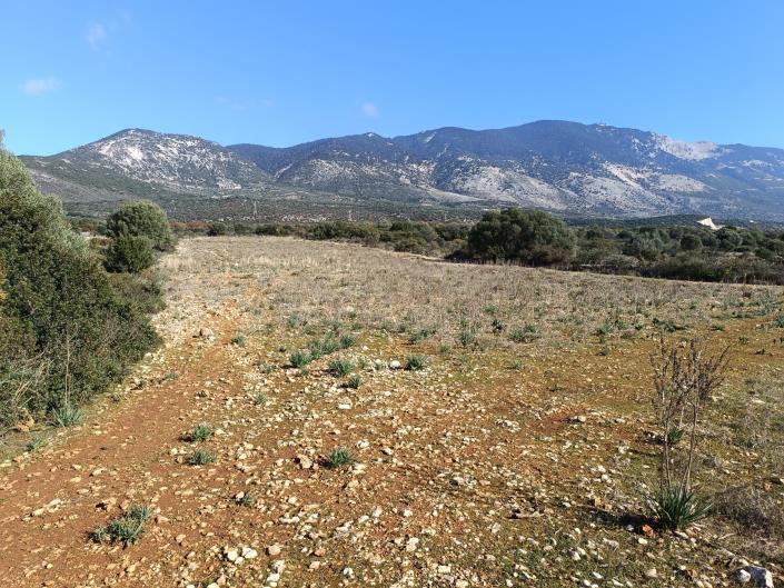 Image No.2-Land for sale