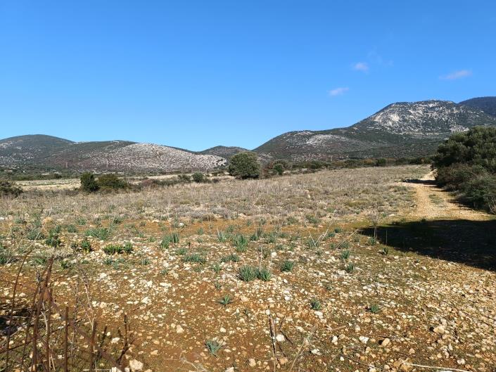 Image No.3-Land for sale