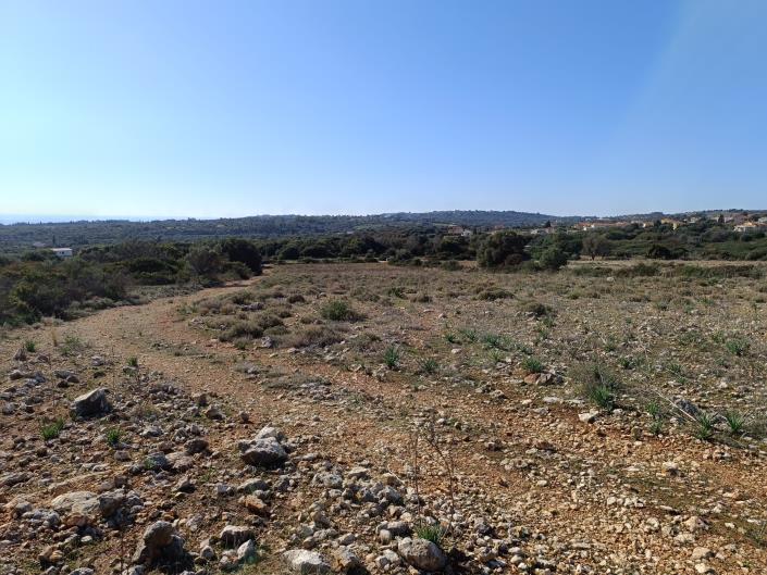 Image No.4-Land for sale